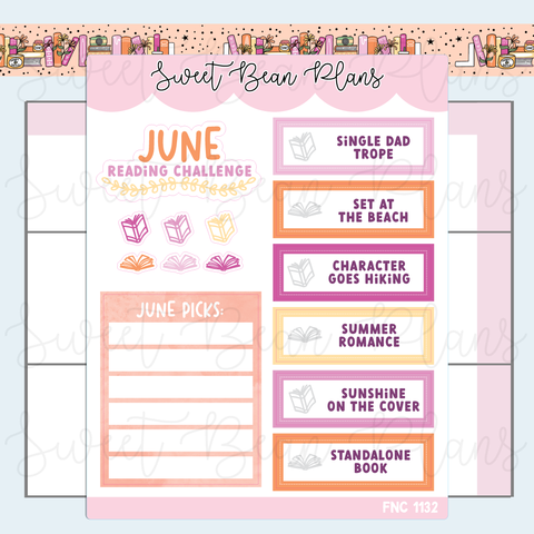 June 2025 Reading Challenge Vinyl Planner Stickers | Fnc 1132