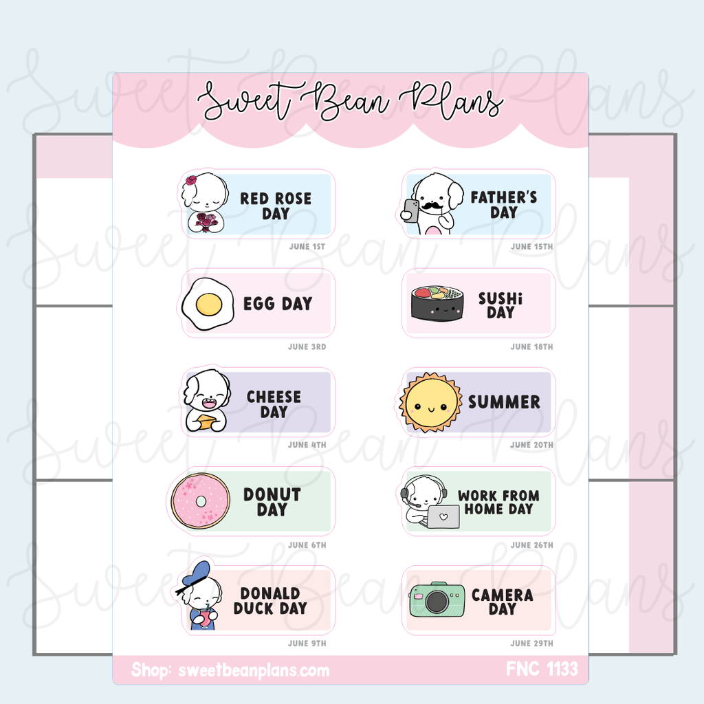June 2025 Holidays Vinyl Planner Stickers | Fnc 1133