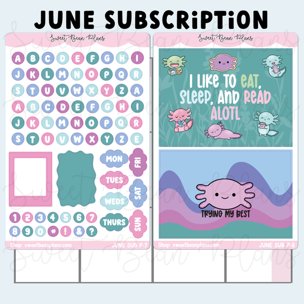 SBP Washi + Sticker Subscription